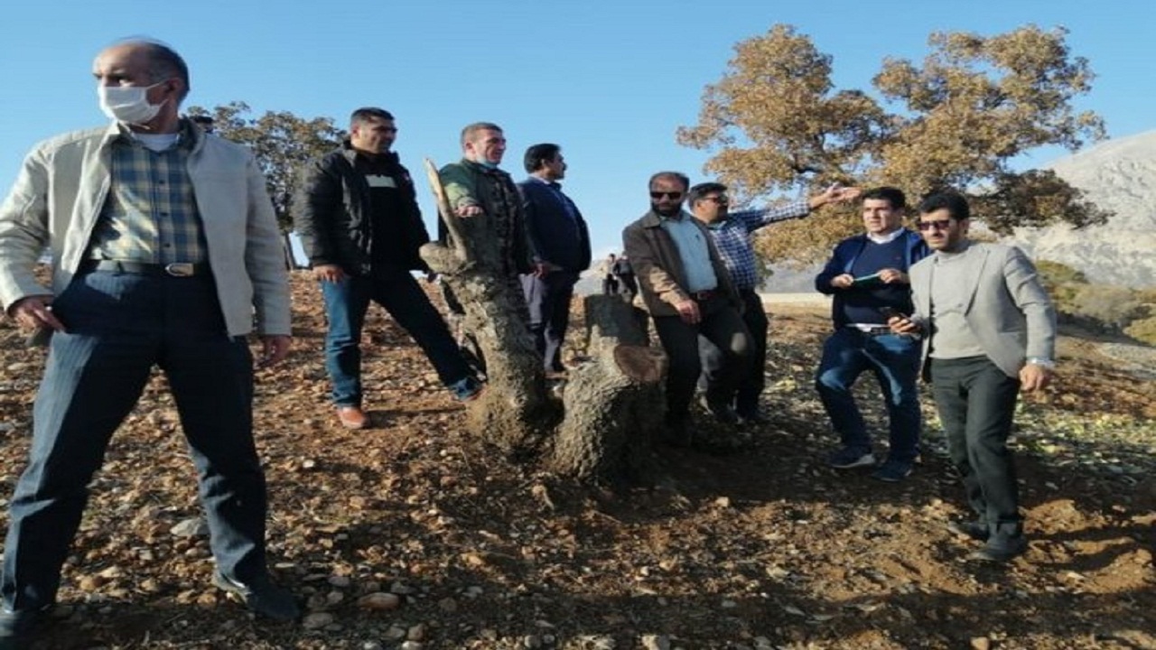 متخلف متعرض به منابع طبیعی در بویراحمد دستگیر شد