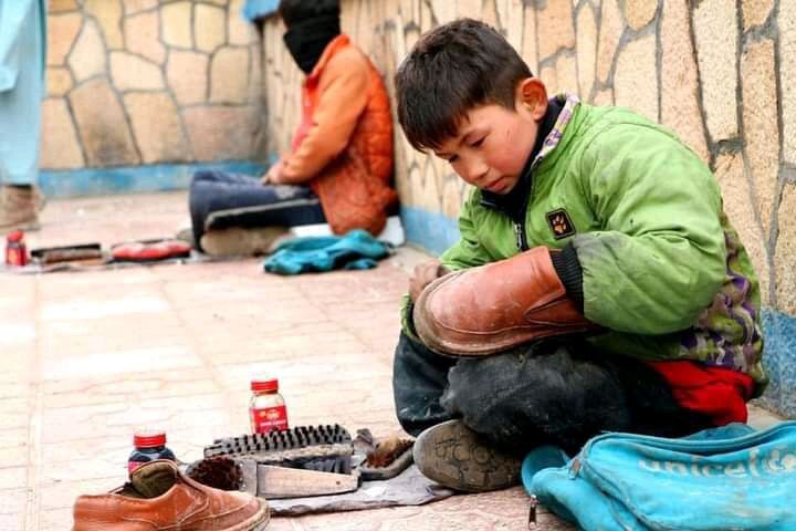 افزایش کودکان کار در بلخ + تصاویر