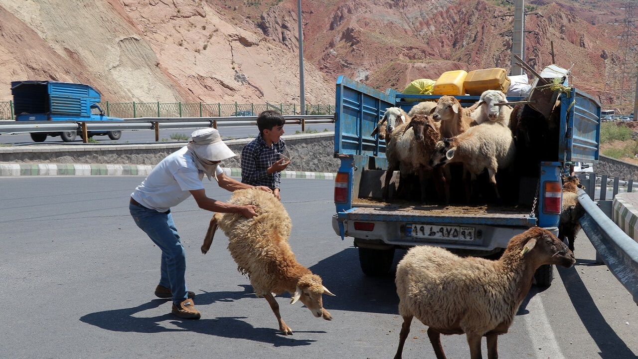 پهن کردن سفره شام برای کلاهبرداران