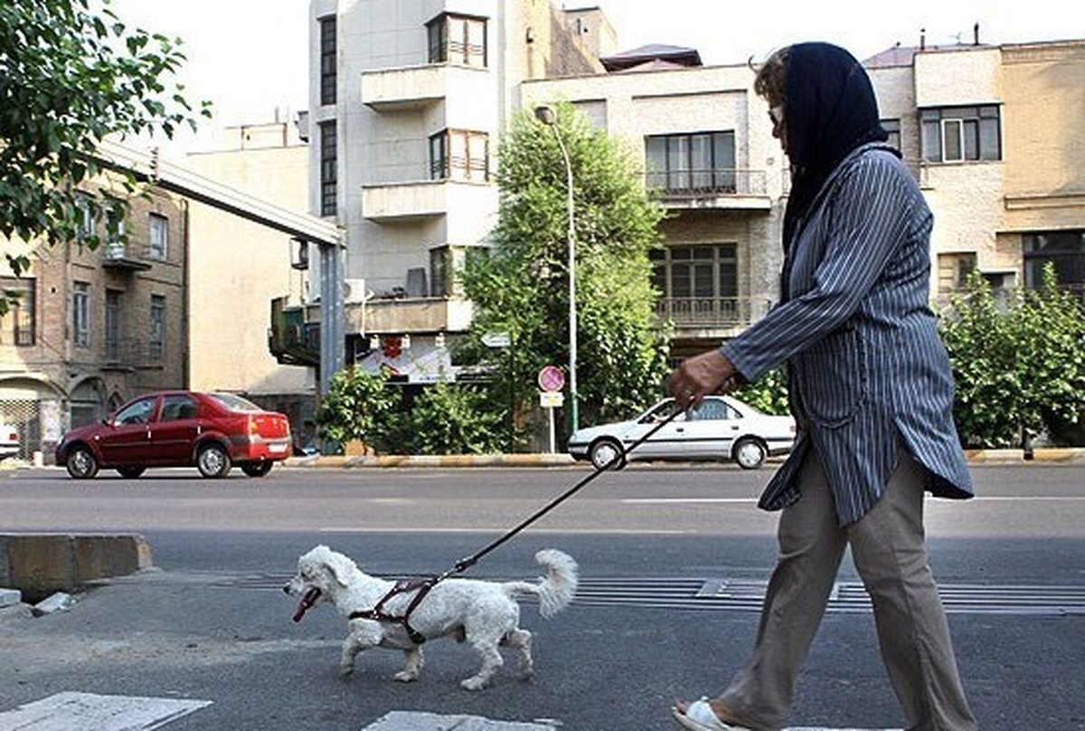 ماجرای تصمیم مجلس برای در نظر گرفتن مجازات نگهداری از &laquo;سگ و گربه&raquo; چیست؟