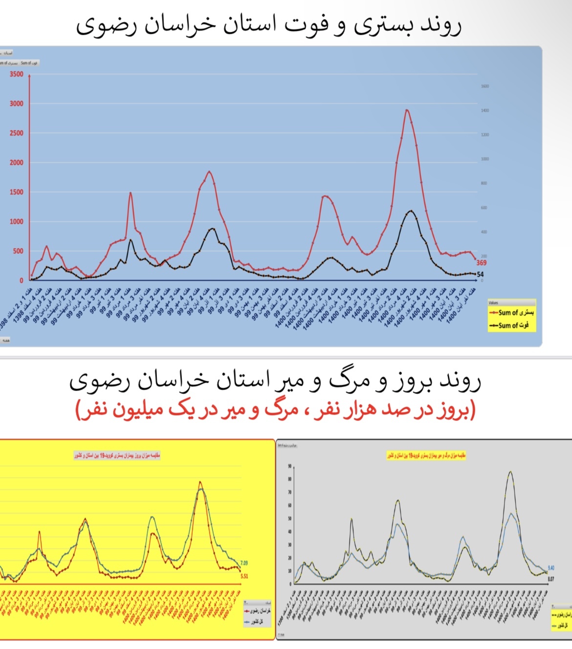وضعیت بستری و فوتی استان فارس