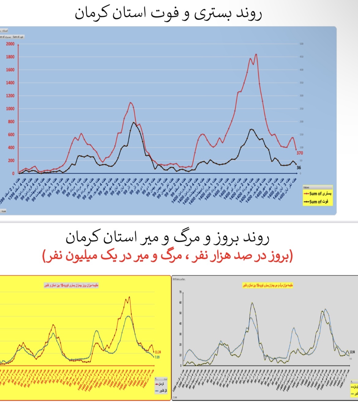 وضعیت بستری و فوتی استان کرمان