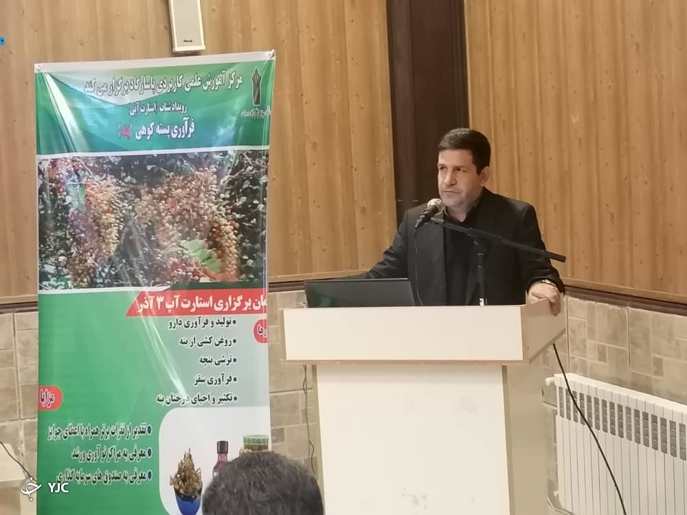 پایان رویداد شتاب فرآوری پسته کوهی (بنه) با معرفی برترین‌ها