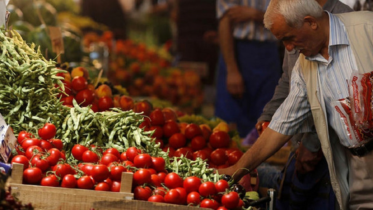 قیمت گوجه فرنگی در همدان پایین می آید