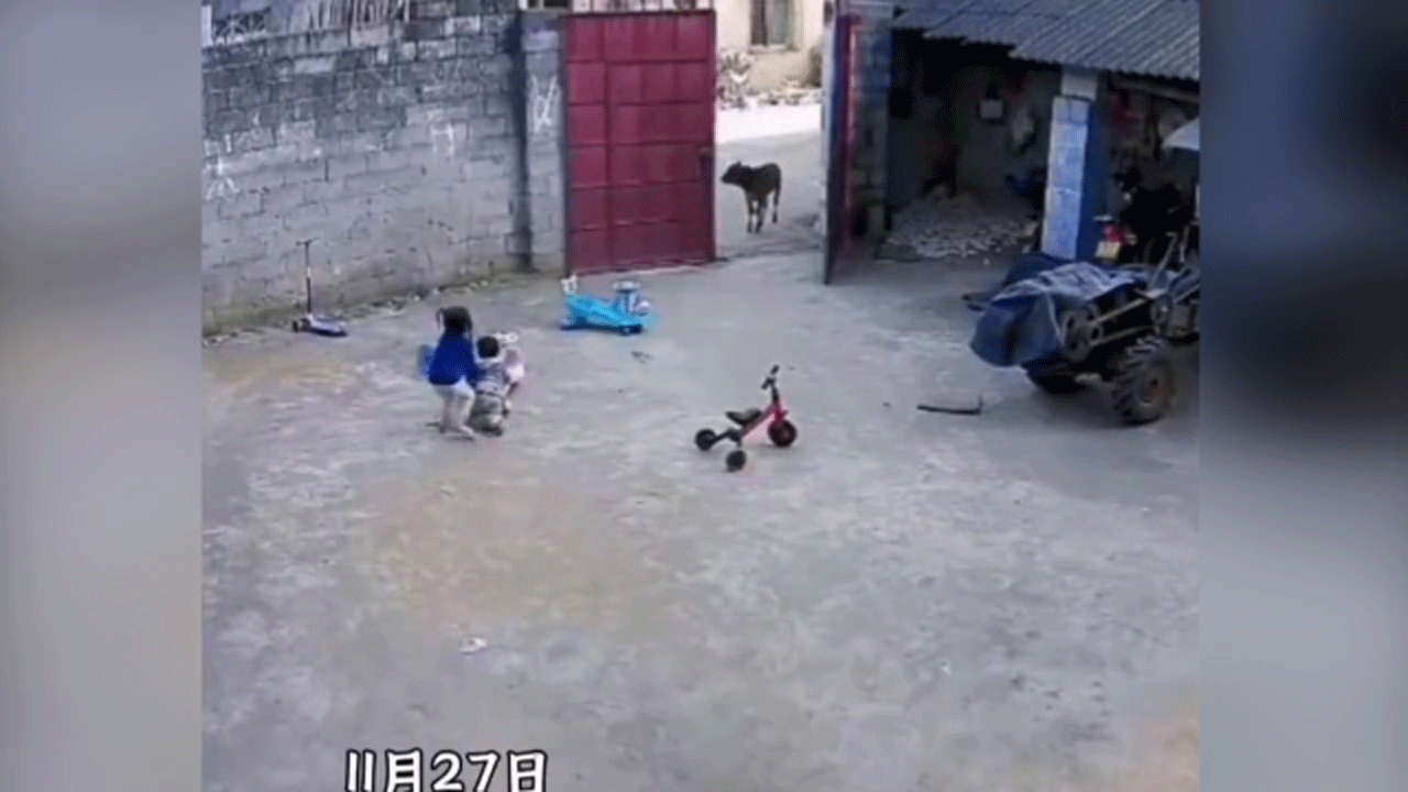 محافظت پسربچه ۶ ساله از خواهر و برادر کوچکترش + فیلم