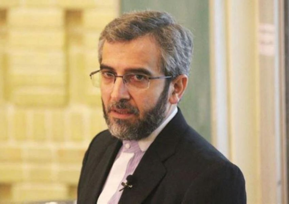 برای رسیدن به تفاهمی که منافع مشروع ما را تامین کند، مصمم هستیم