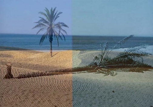 سفر به ناشناخته&zwnj;ها در جنوب سیستان و بلوچستان