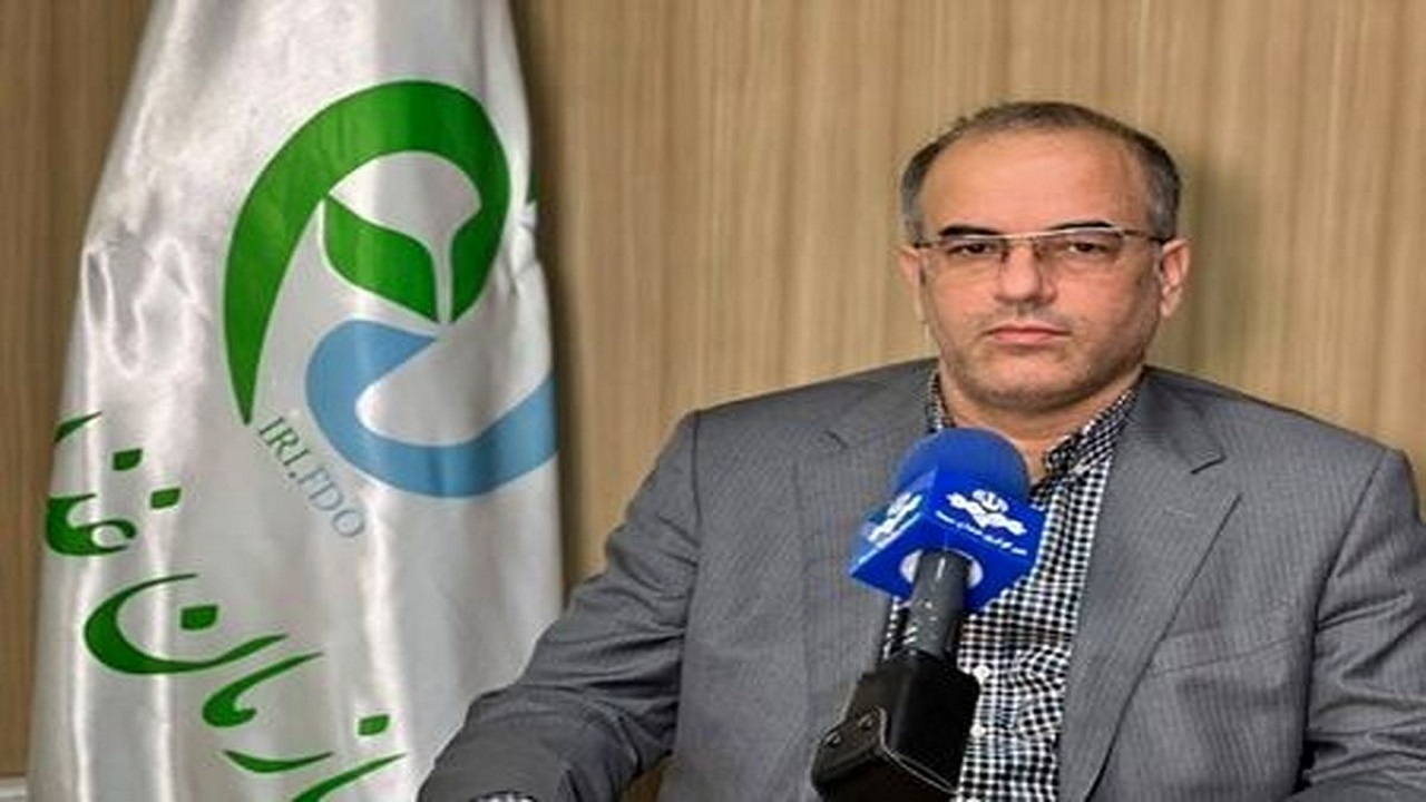 صدور مجوز‌های صادراتی دارو ۳۰ درصد رشد داشته است