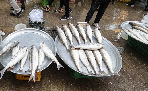 بازار رشت، سنتی و جذاب + تصاویر