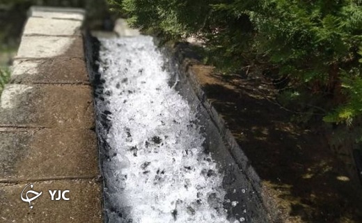 طبیعت بهاری روستای آرک + تصاویر