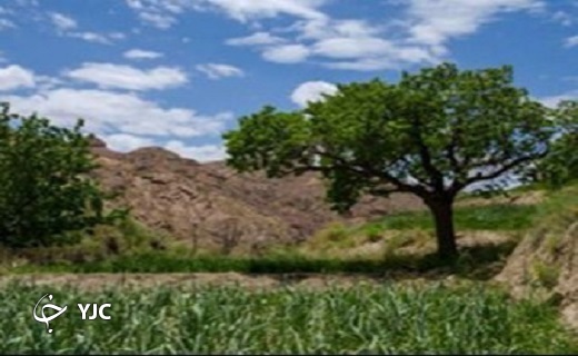 طبیعت بهاری روستای آرک + تصاویر