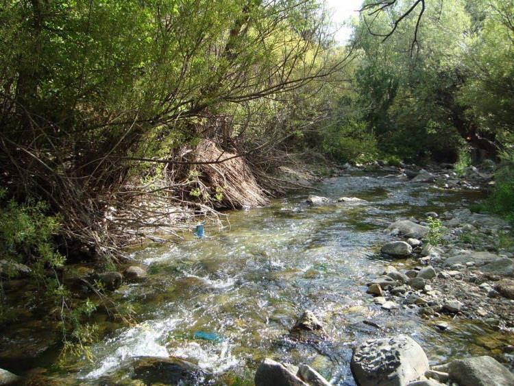 روستای ارنگه در جاده چالوس روستای ارنگه در جاده چالوس