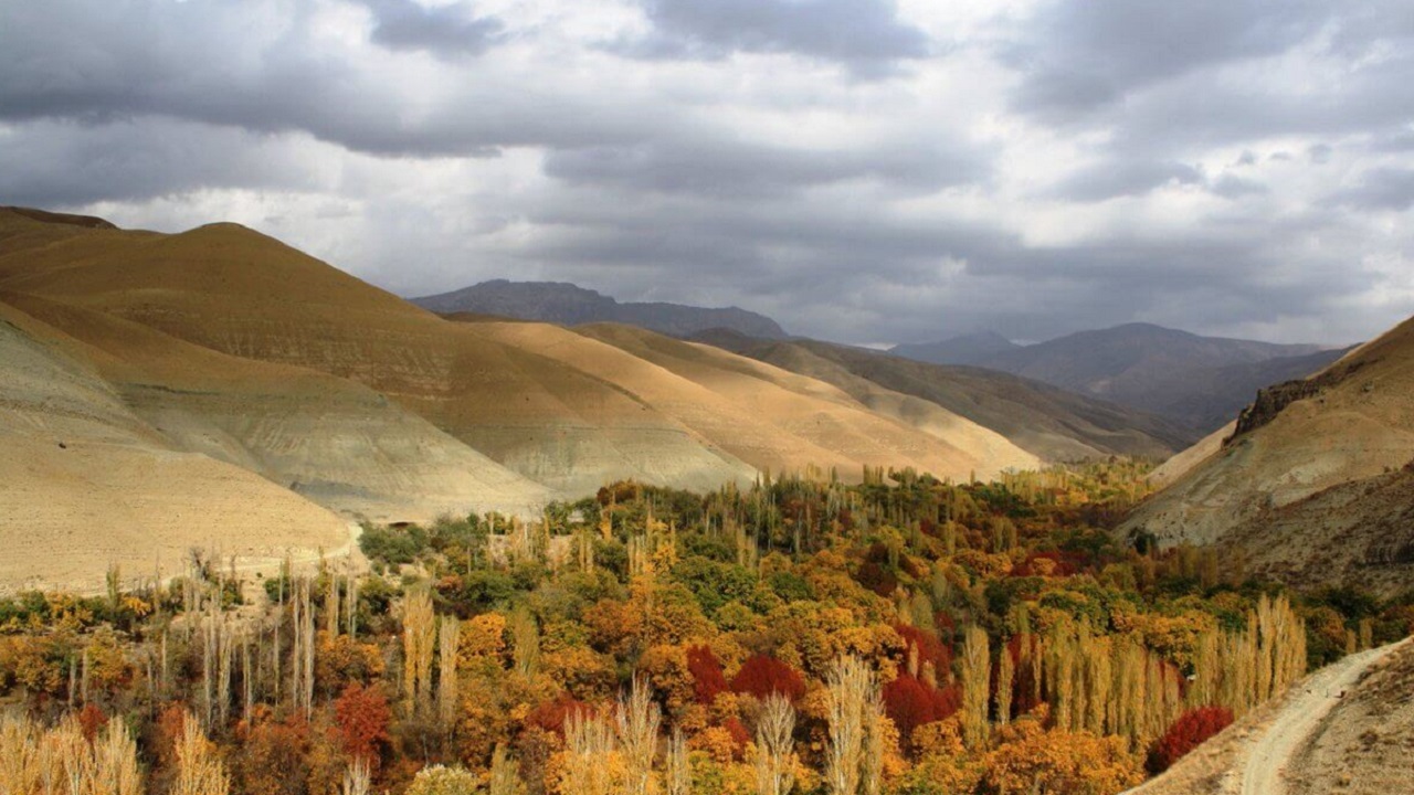 روستای برغان؛ مهد چنارهای هزارساله + تصاویر
