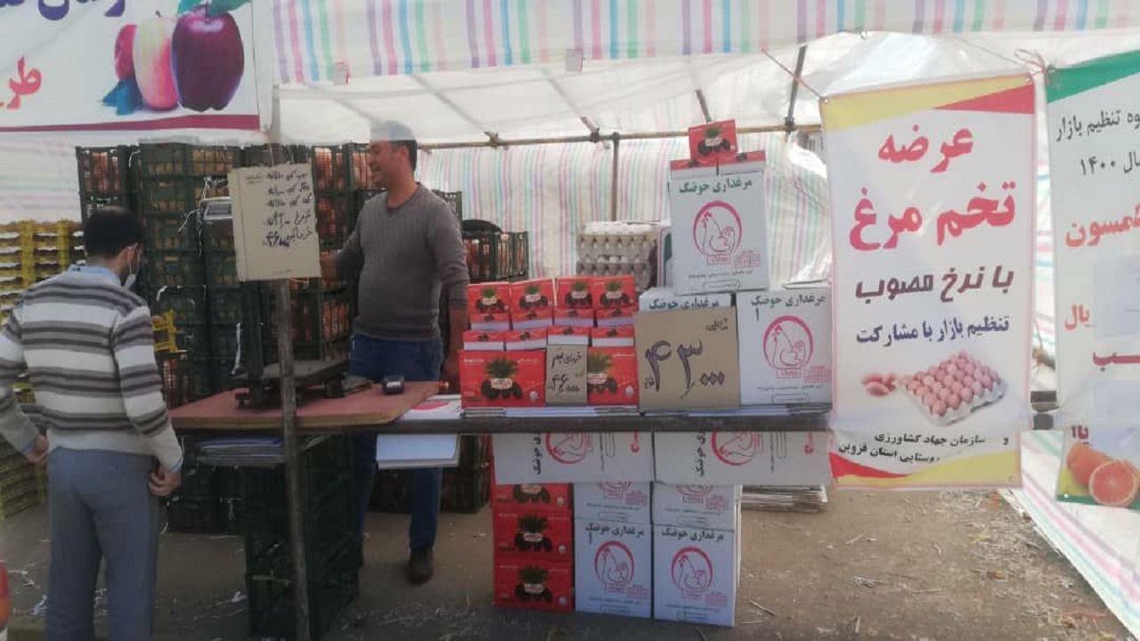 آغاز توزیع خرما و تخم مرغ در غرف منتخب شهر قزوین