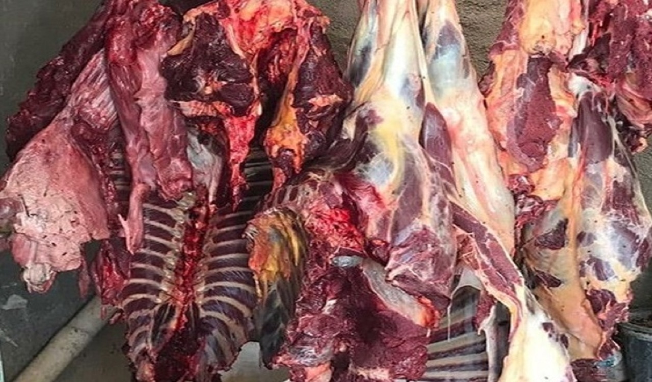 کشف ۲۹۵ کیلوگرم گوشت غیر بهداشتی در کرمانشاه
