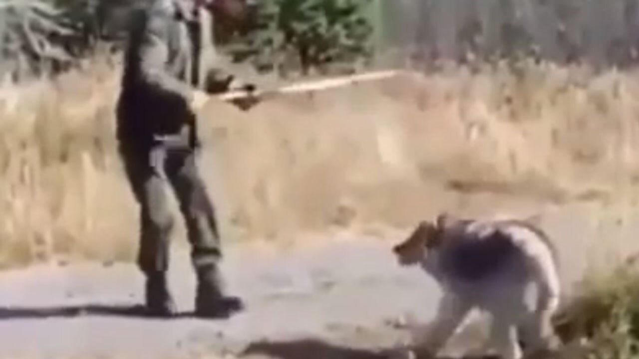 کمک دو محیط‌بان به گرگی که در تله گرفتار شده بود + فیلم