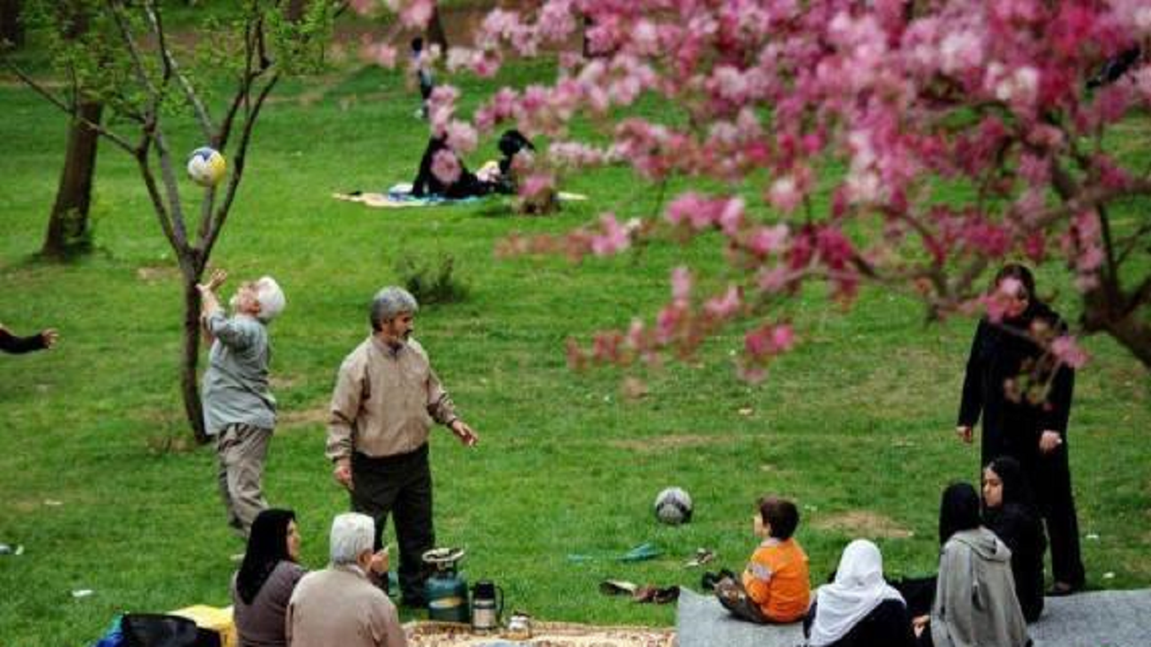 روز طبیعت مراقب جنگل باشیم