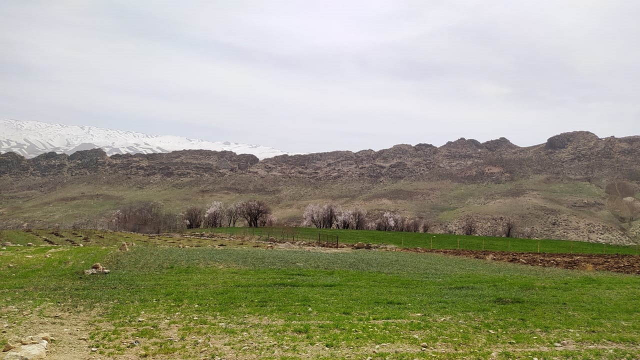 طبیعت بهاری روستای میهه در روز طبیعت
