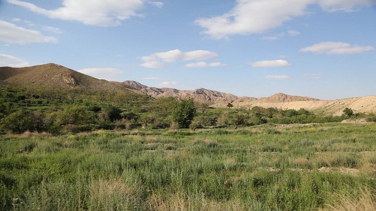 سیزده بدری آفتابی در خراسان جنوبی