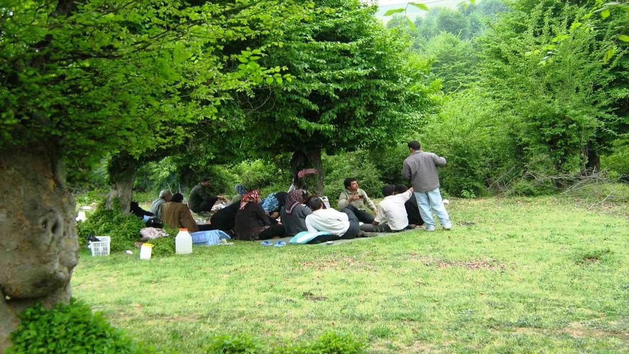 سبزه‌های هفت سین را در خیابان‌ها و طبیعت رها نکنید