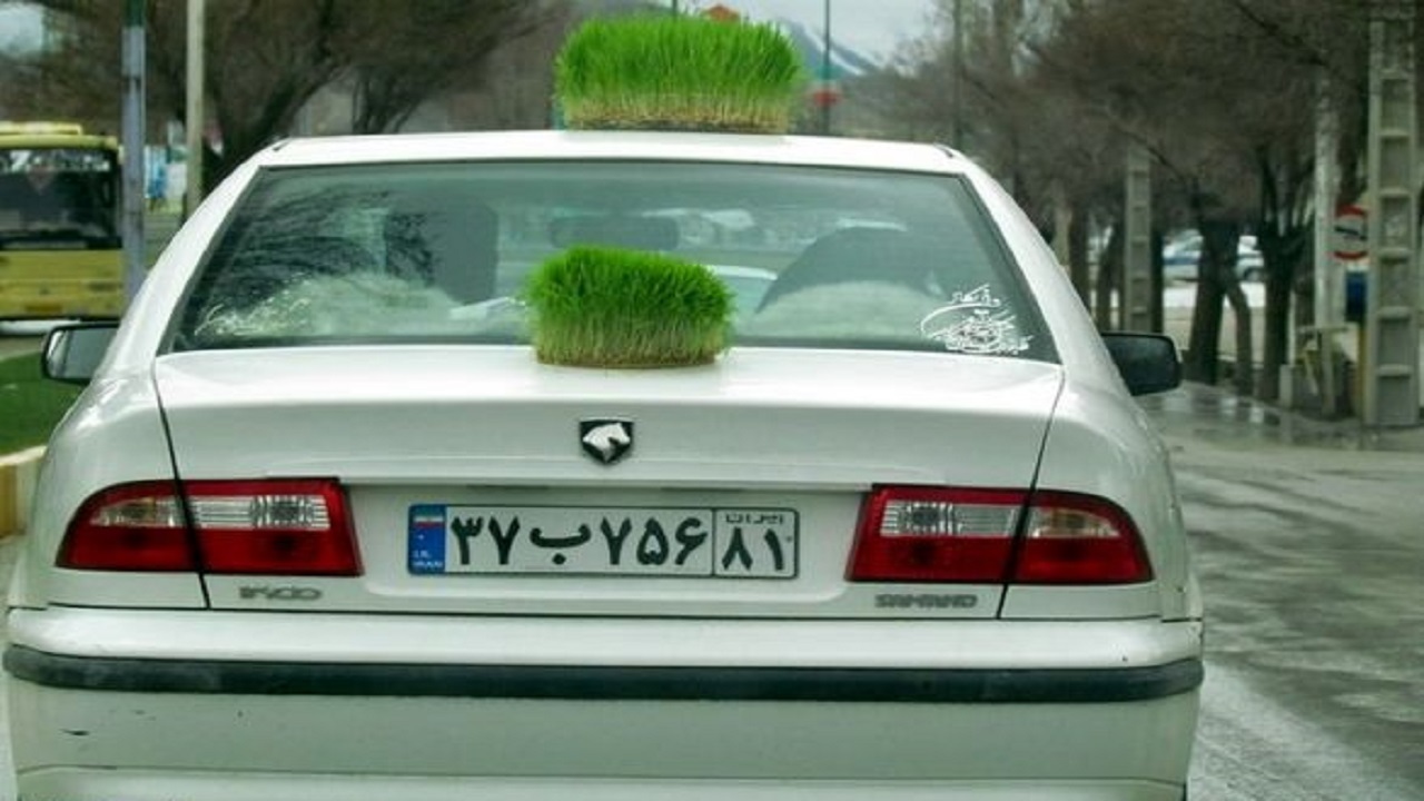 رانندگان سبزه نوروز را روی خودرو نگذارند