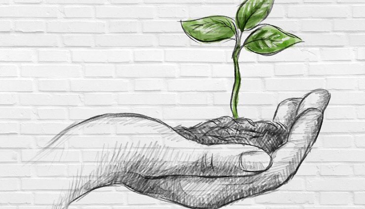 شهردار بندرعباس:
در روز طبیعت محیط زیست را حفظ کنیم