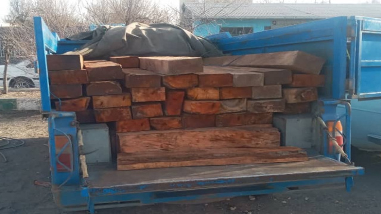 کشف ۵۰ اصله قنداق قاچاق جنگلی در اردبیل
