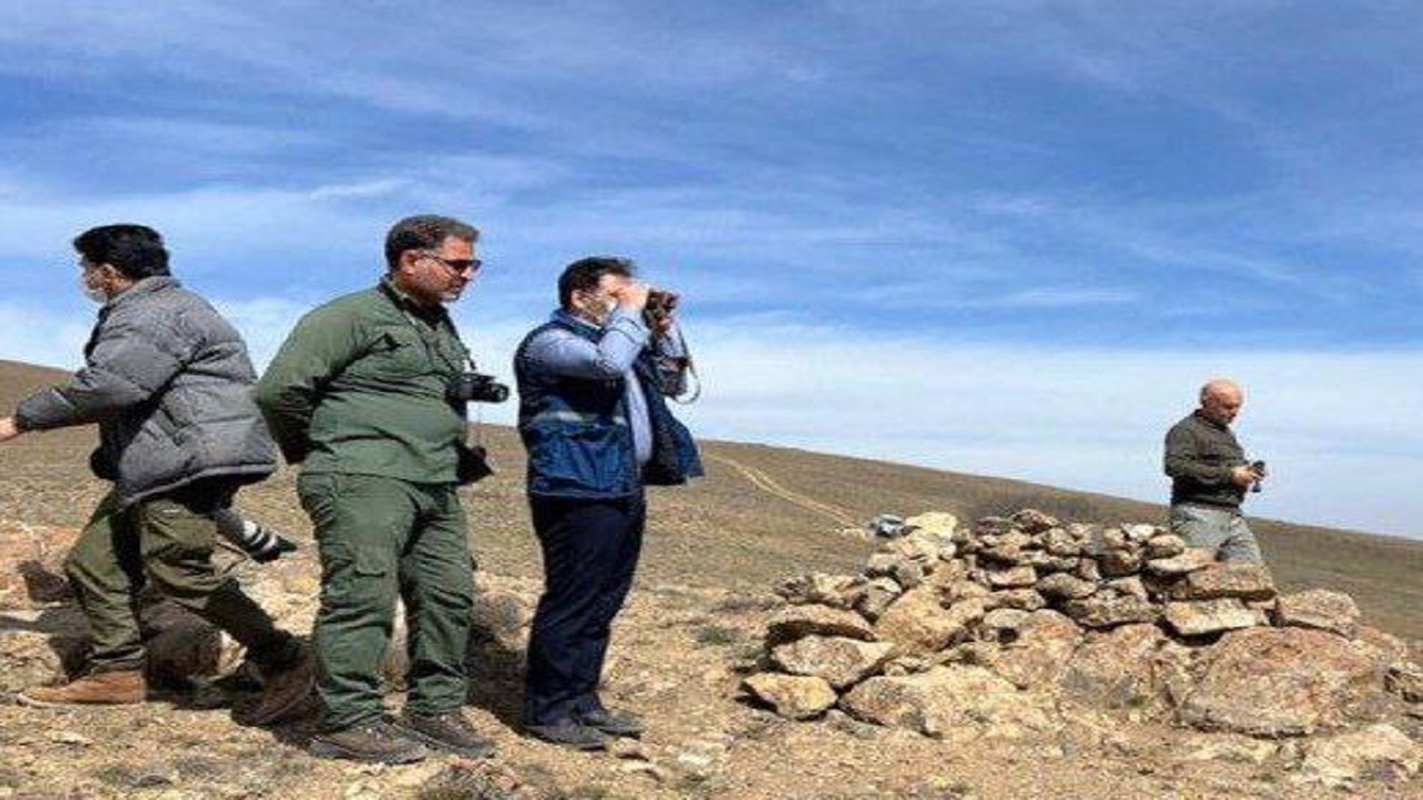رصد و پایش بهداشتی حیات وحش پارک ملی گلستان