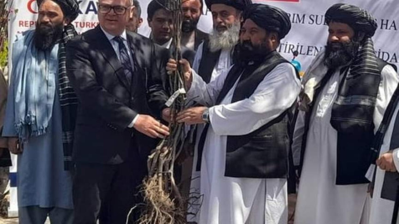 تیکا ۲۰ هزار اصله نهال را به وزارت زراعت اهدا کرد
