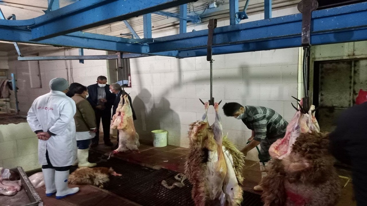 ساماندهی کشتارگاه دام شهرداری زرند