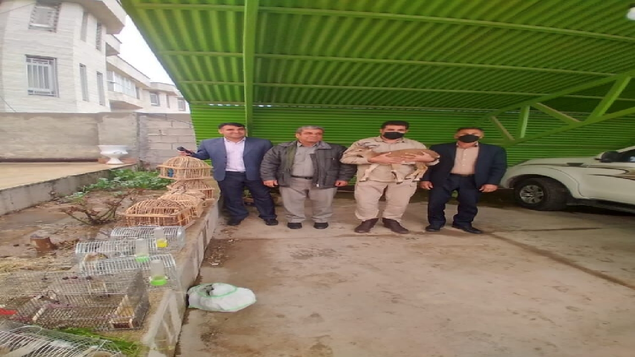 کشف بزغاله وحشی به همراه ۱۶ قطعه پرنده در کهگیلویه و بویراحمد