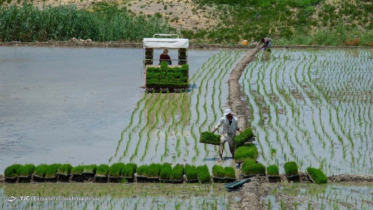 اصلاح الگوی کشت با توجه به کمبود آب در حوضه کرخه ضروری است