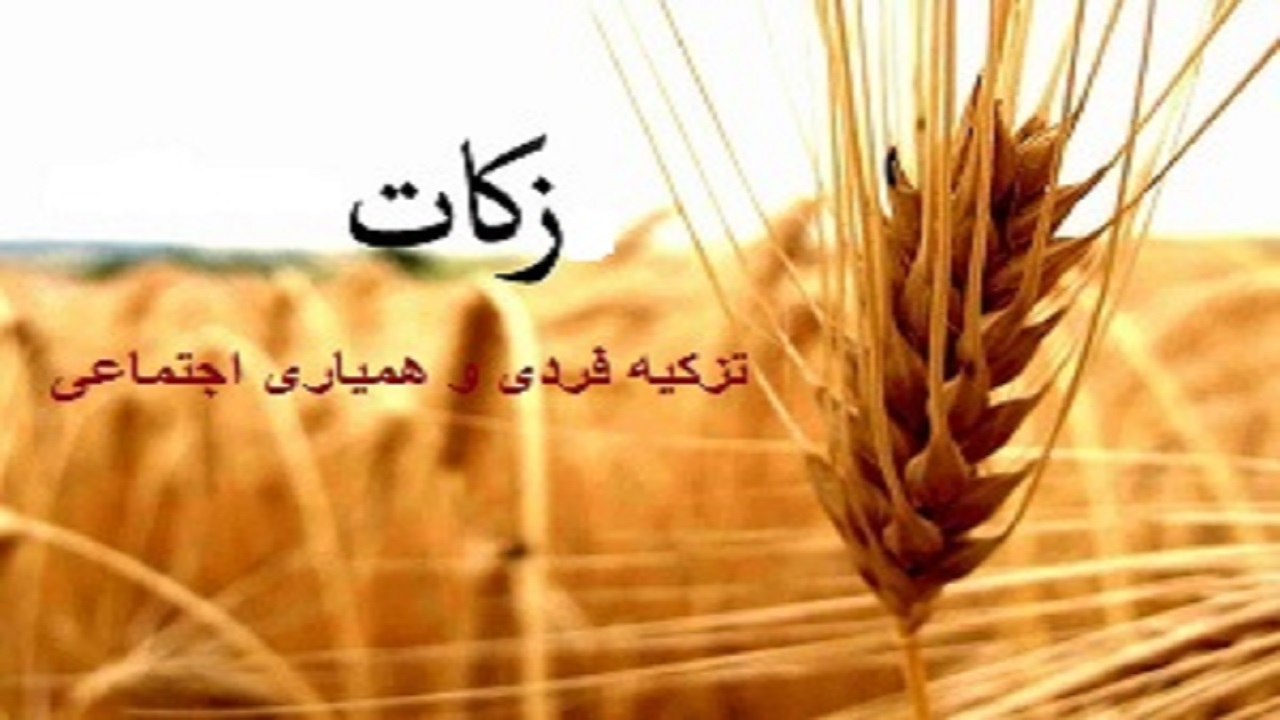 بیش‌از ٣ میلیارد ریال زکات پارسال در ایرانشهر جمع‌آوری شد