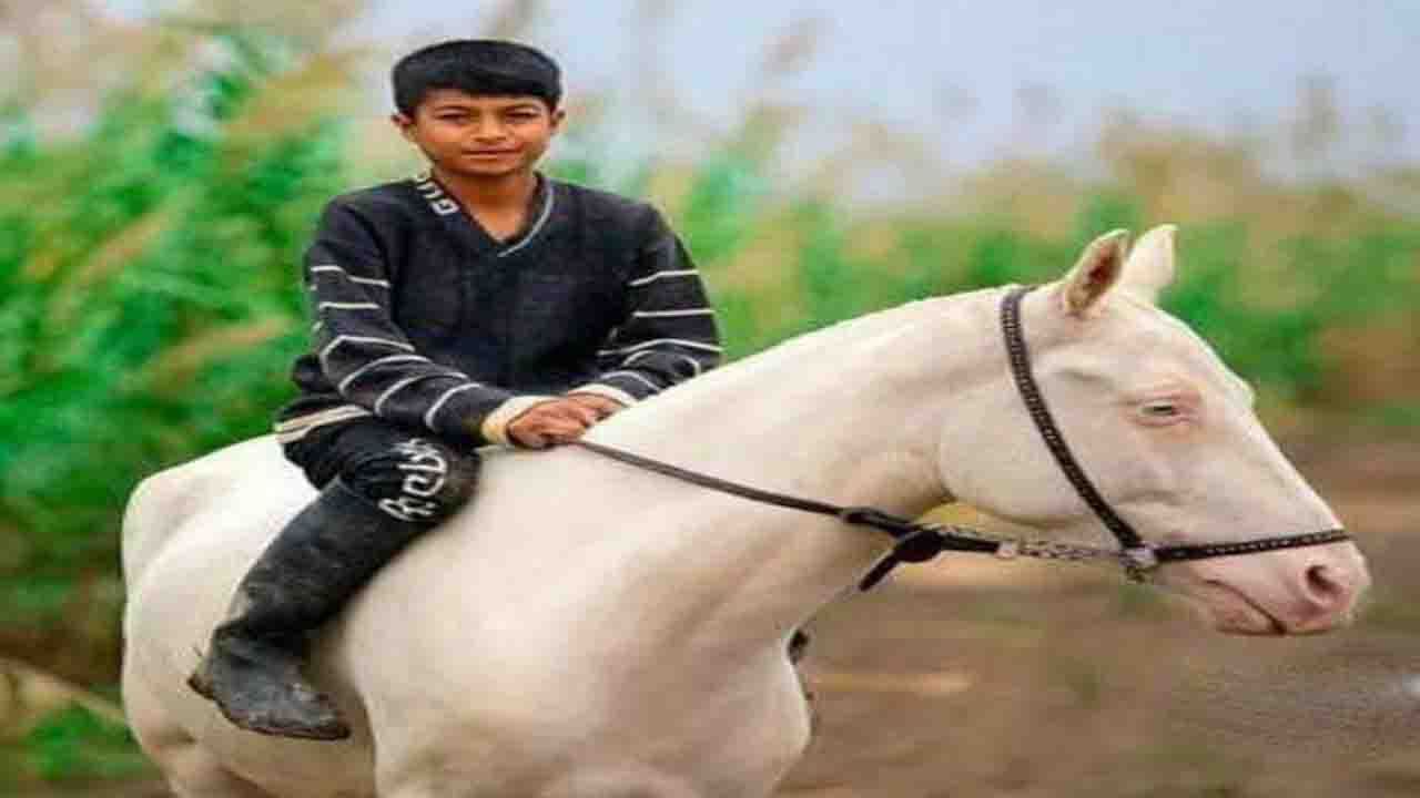 جان باختن  چابکسوار جرگلانی