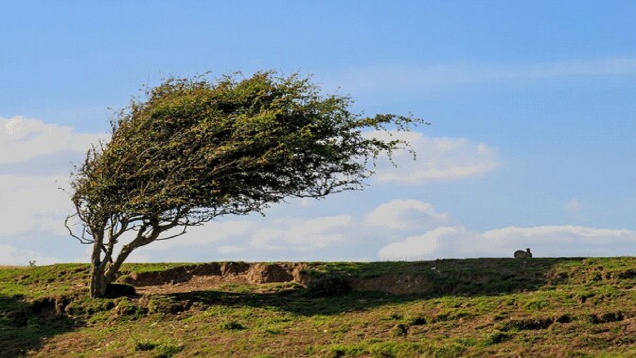 هشدار درباره آتش سوزی ناشی از وزش باد در سمنان
