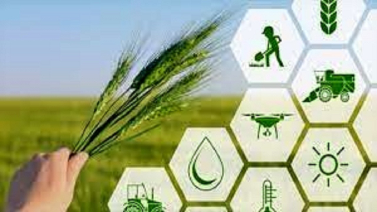 پرداخت ۴۲ هزار میلیارد ریال تسهیلات به بیش از ۳۱ هزار کشاورز خوزستانی