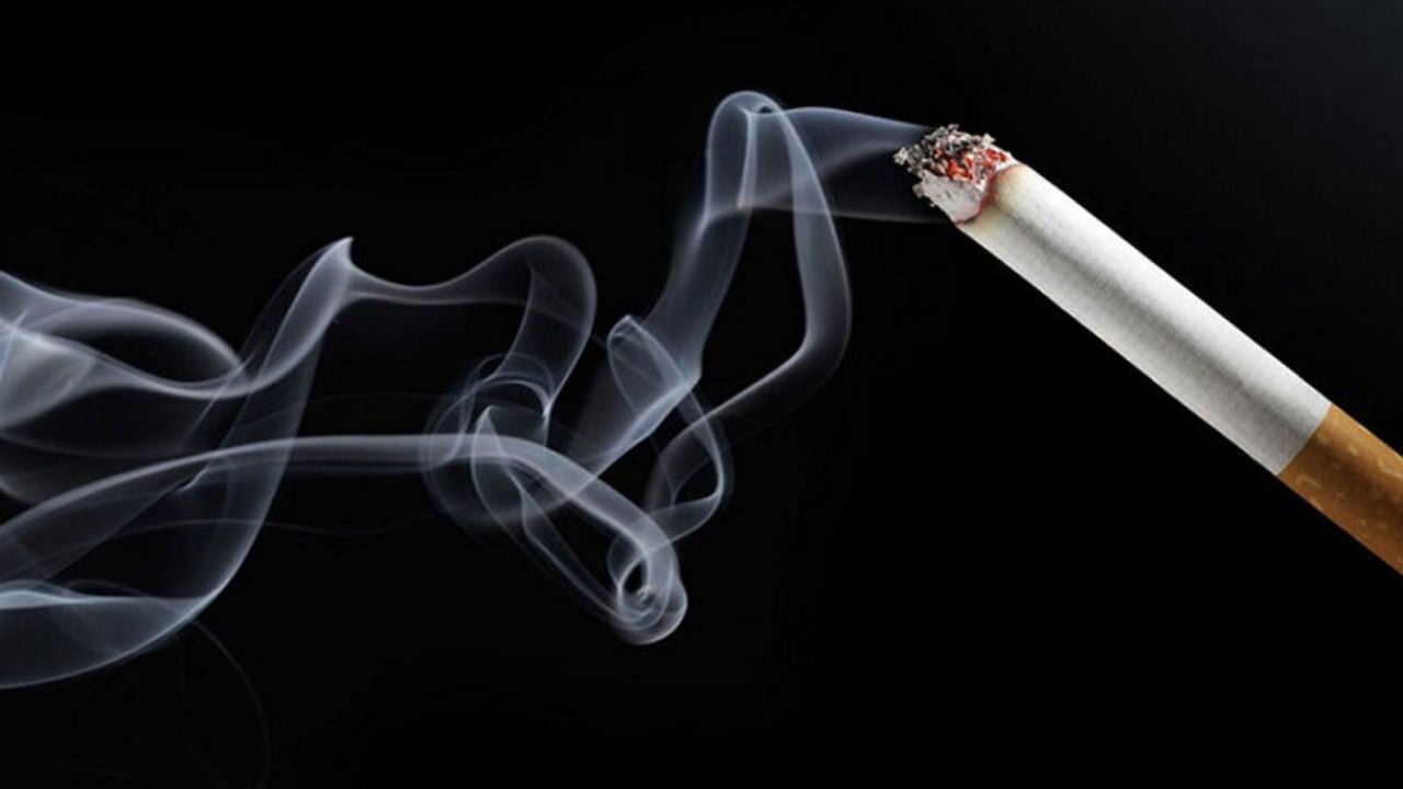 مواد موجود در یک نخ سیگار + فیلم