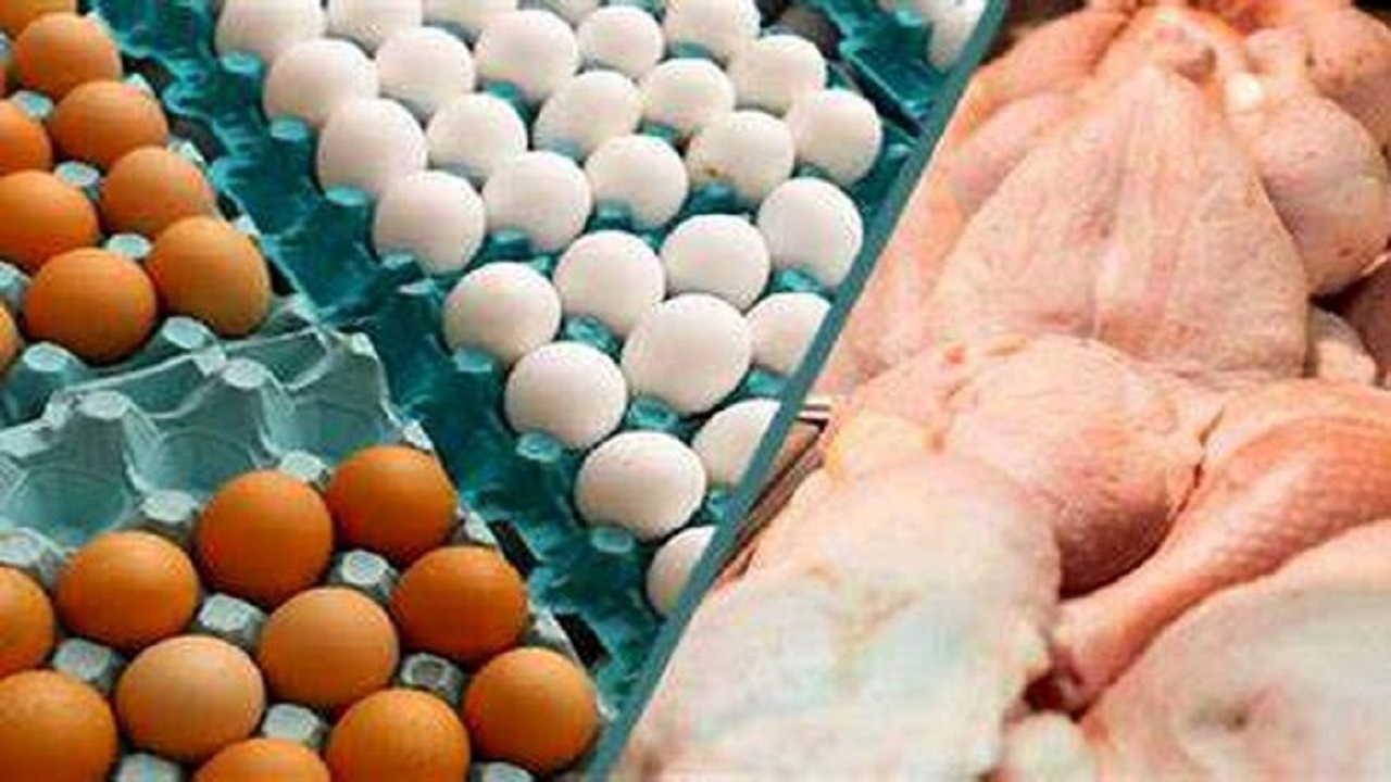 تثبیت قیمت مرغ و تخم مرغ در خراسان رضوی