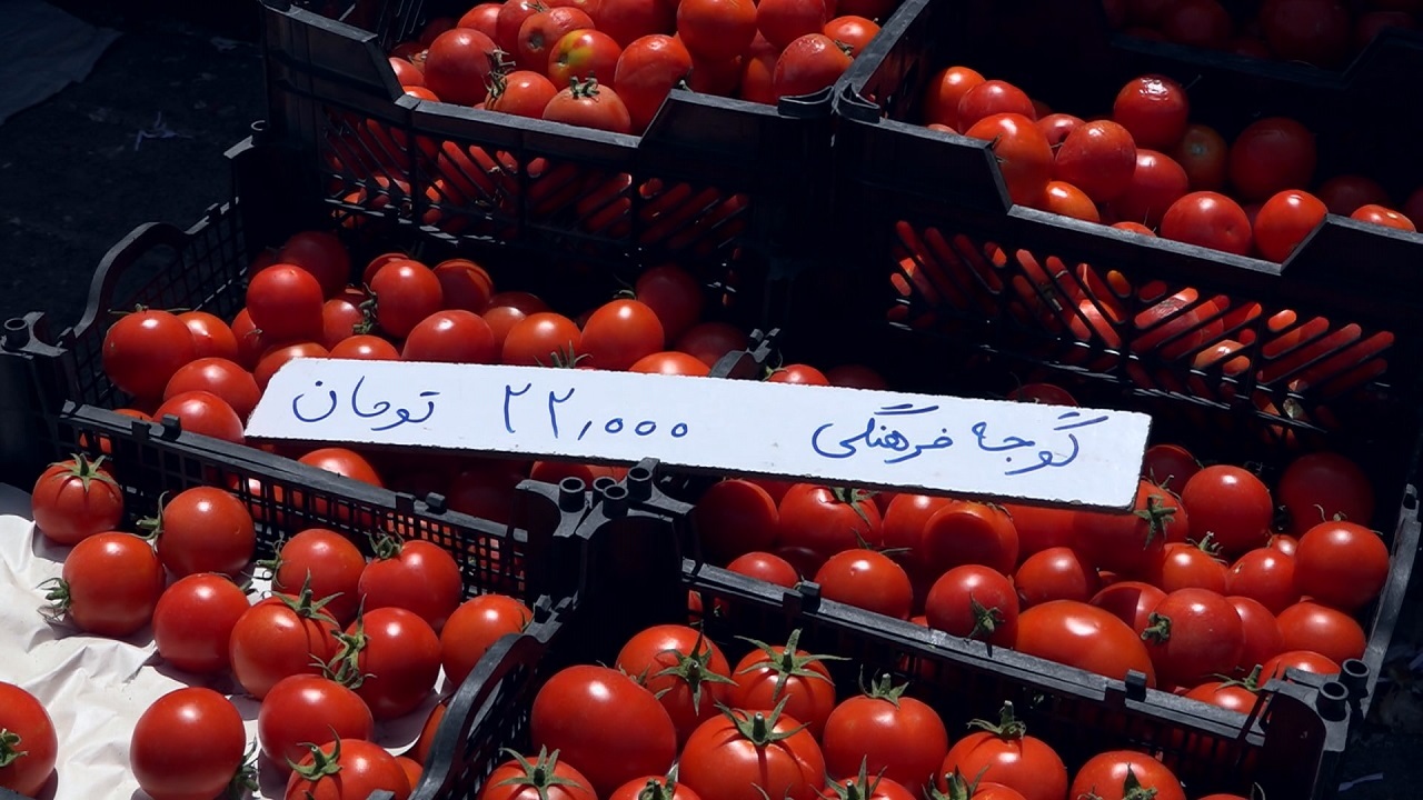 رخنه گرانی در سبدهای گوجه فرنگی