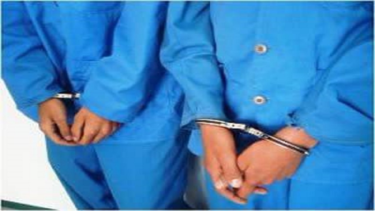 سارقان اماکن خصوصی در نظرآباد دستگیر شدند