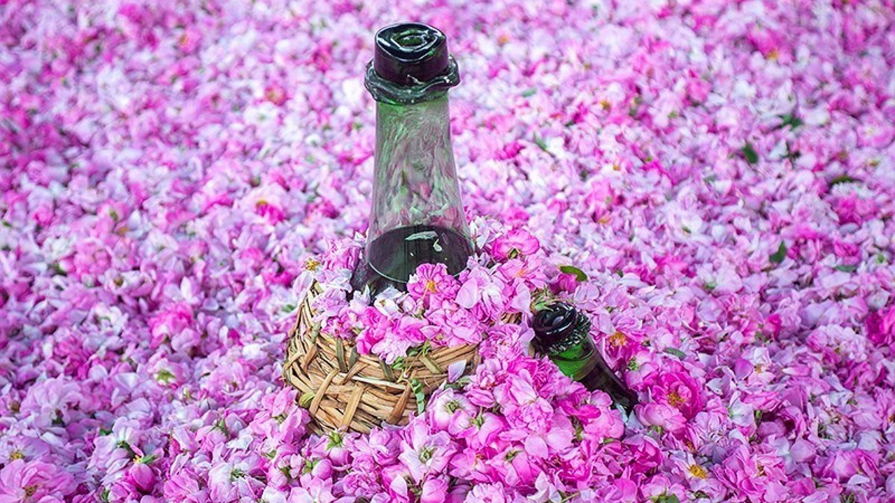 برگزاری جشنواره گل و گلاب در کاشان