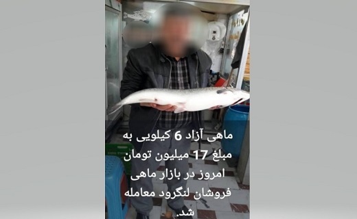 معرفی متخلف فروش ماهی آزاد در لنگرود به مراجع قضایی معرفی متخلف فروش ماهی آزاد در لنگرود به مراجع قضایی