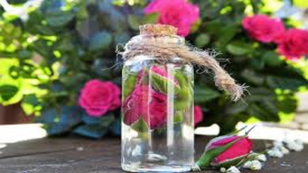 قیمت گلاب در ماه رمضان چقدر است؟