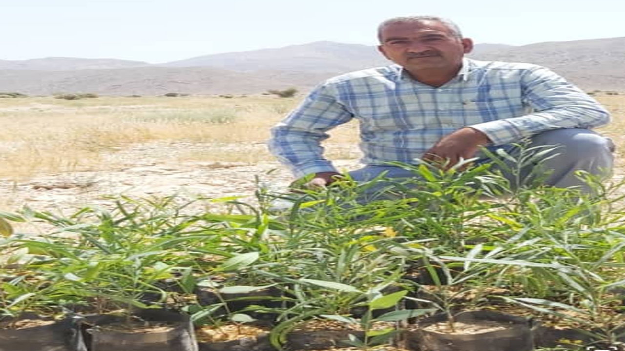 از موفقیت تا ایده خلاق در کسب و کار جدید با کار آفرین لارستانی