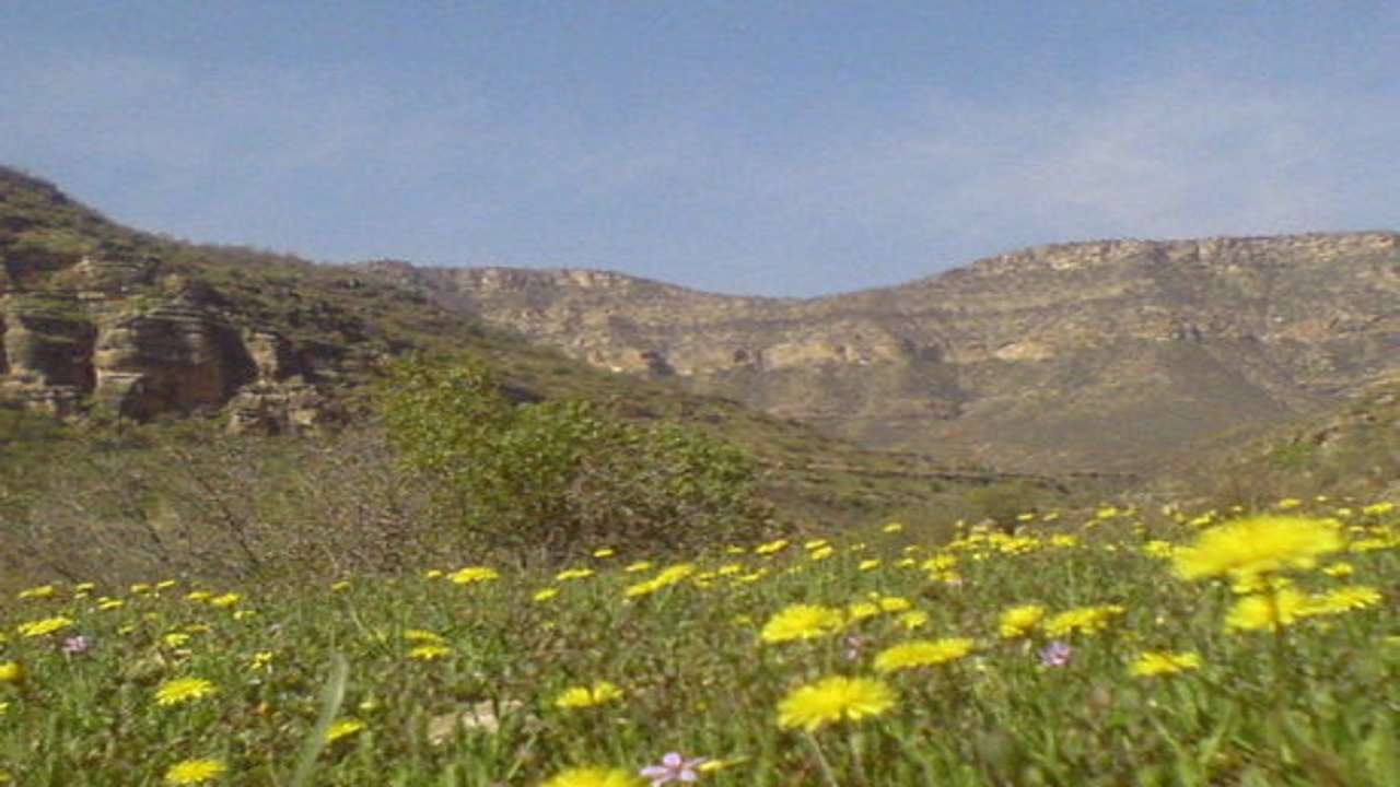 کوهی به نام زلیخا