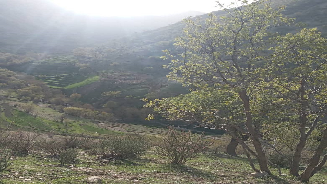 تصاویری از طبیعت روستای سیلاب