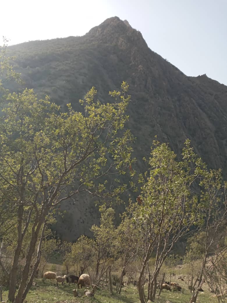 تصاویری از طبیعت روستای سیلاب