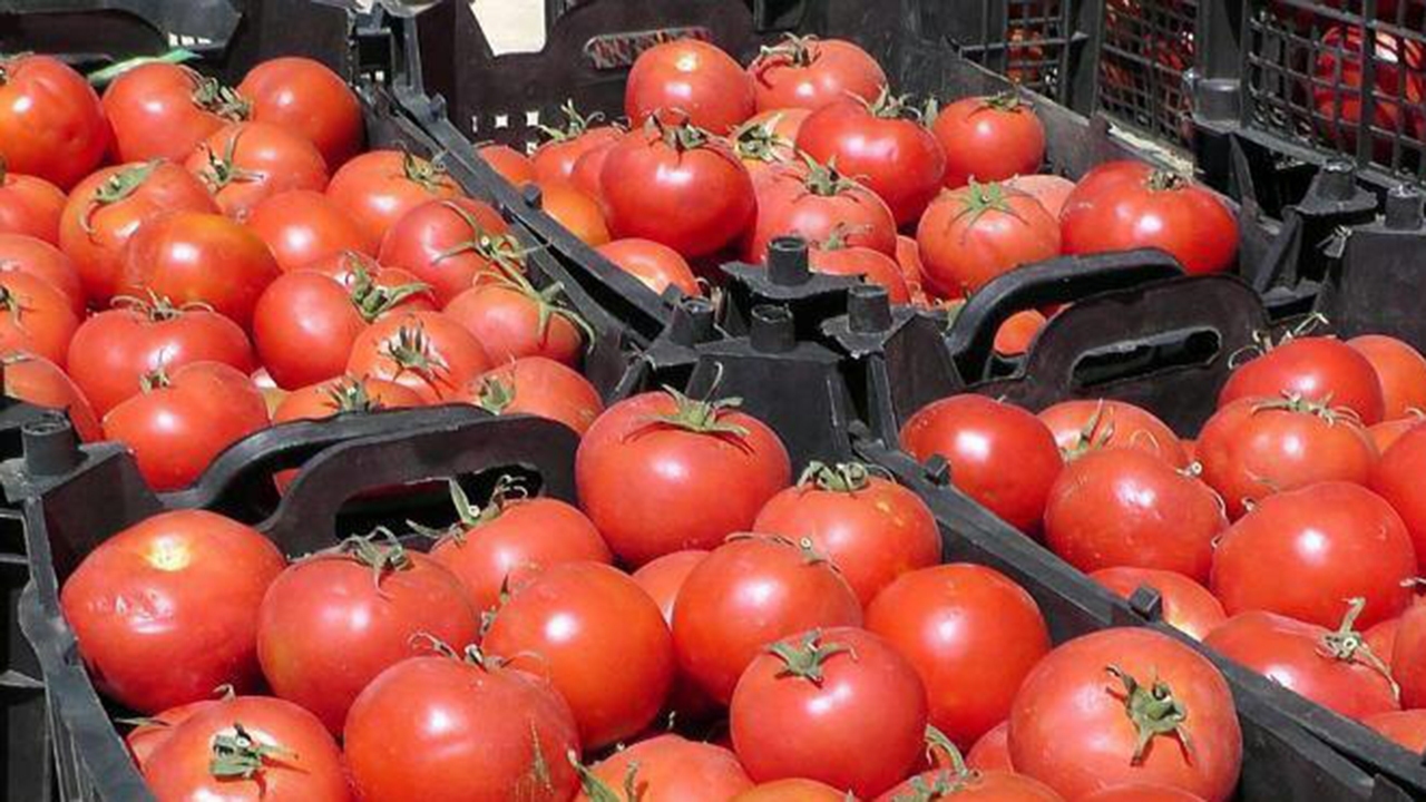 گوجه فرنگی هم به لیست لاکچری ها اضافه شد