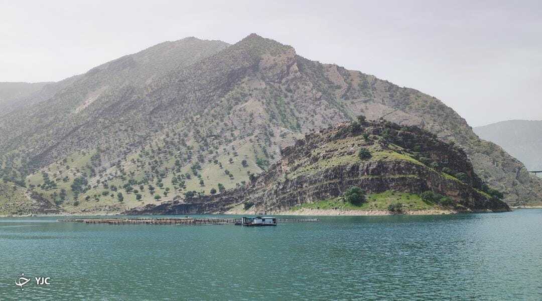 رویای شیرین زندگی در طبیعت دشت هلن+ تصویر و فیلم