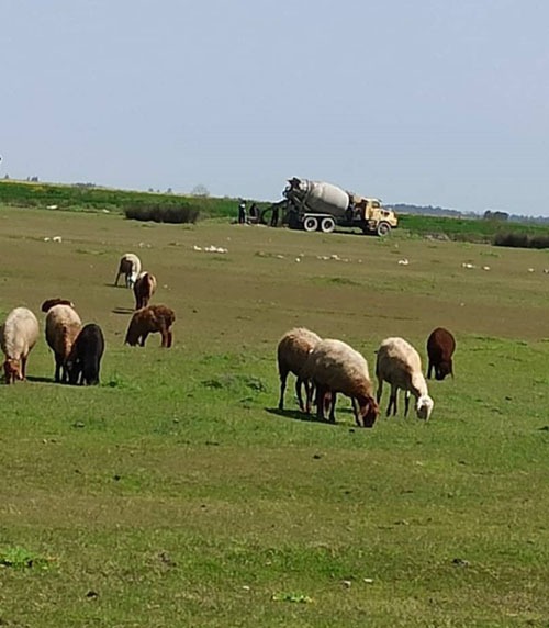 پتروشیمی میانکاله خطری بیخ گوش تالاب جهانی یا فرصتی برای اشتغال محلی